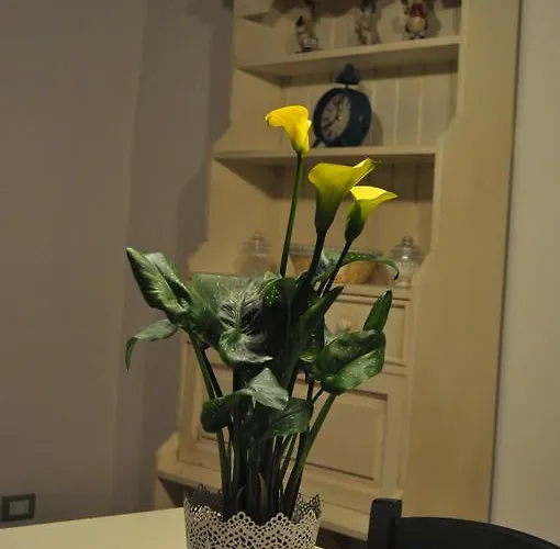 Vakantiehuis Buonincontro Florence